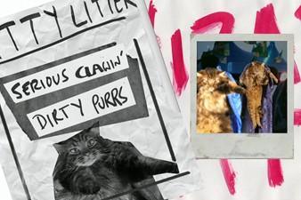 'Wizard Cats' by Ninian Doff