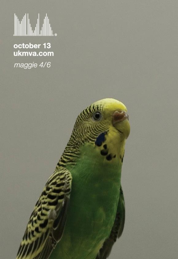 UK Music Video Awards 2009 – all of last night’s winners!