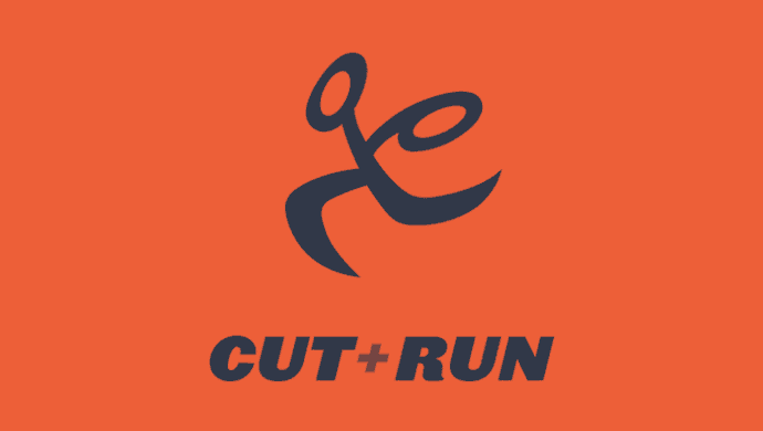 UK Music Video Awards 2019: Cut+Run sponsoring Best Editing in a Video for third year at UKMVAs