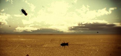 The American Dollar’s Anything You Synthesise by Onesize