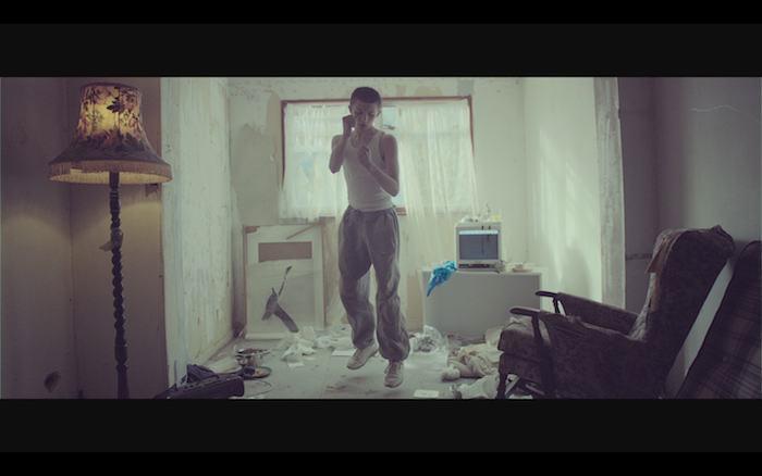 Oscar 'Daffodil Days' by Laurie Lynch