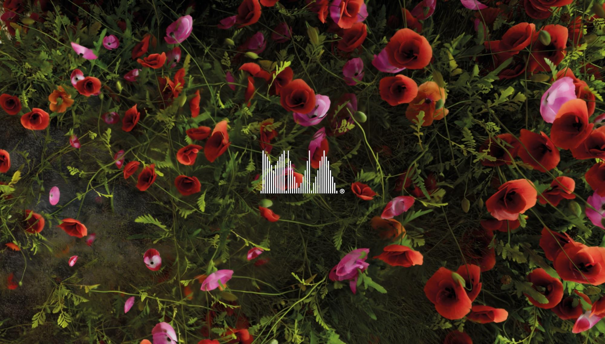 UK Music Video Awards 2024: Best Video International nominations in full