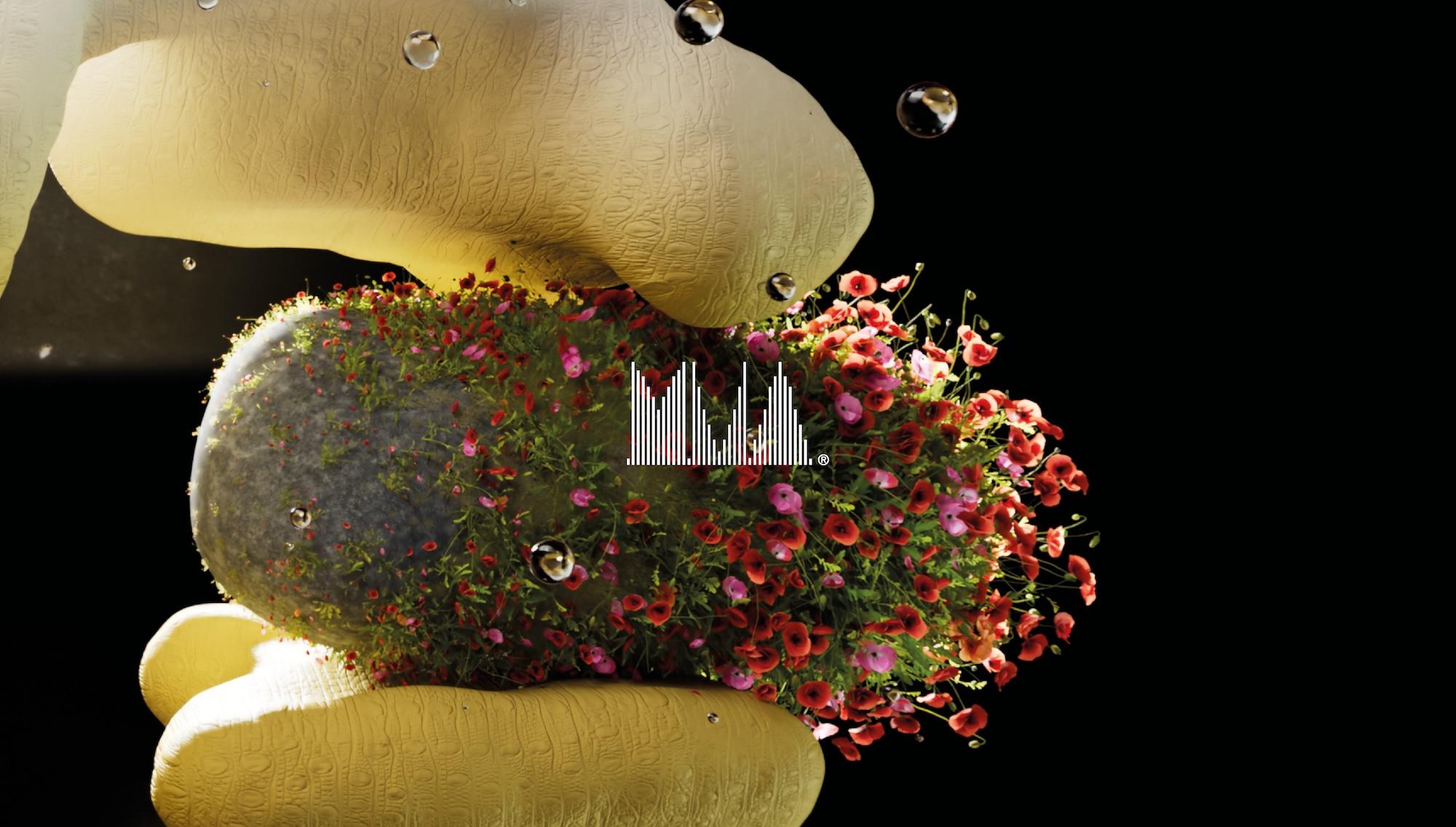 UK Music Video Awards 2024: the Best Video Newcomer nominations in full