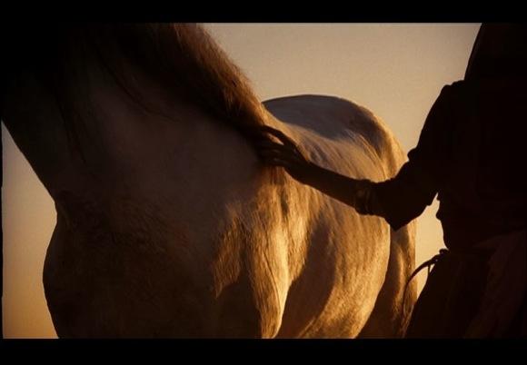 A History of the World in 100 Objects: two films by WIZ