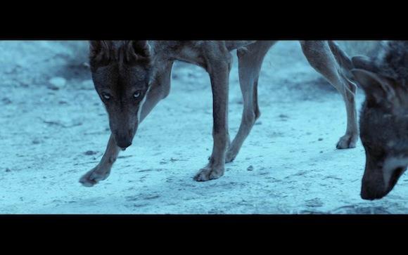 Example 'Say Nothing' by Adam Powell