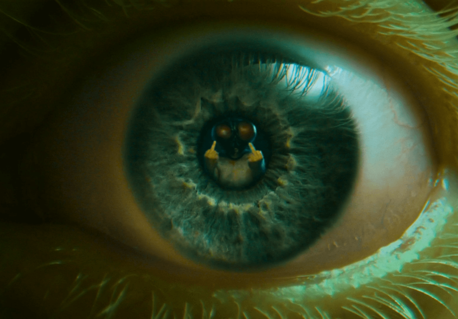 Will Wightman on Tommy Holohan's Show Me The Sky video: 'It's inspired by one of my most deep-seated fears.'